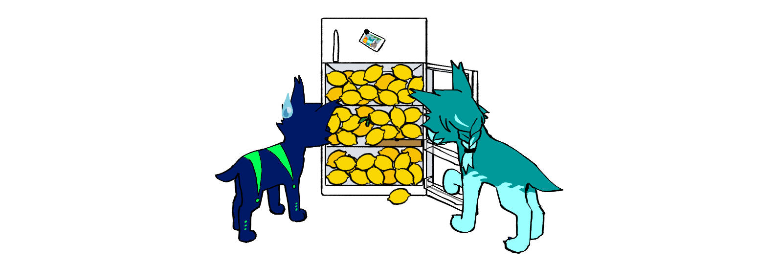 The fridge is overflowing with lemons